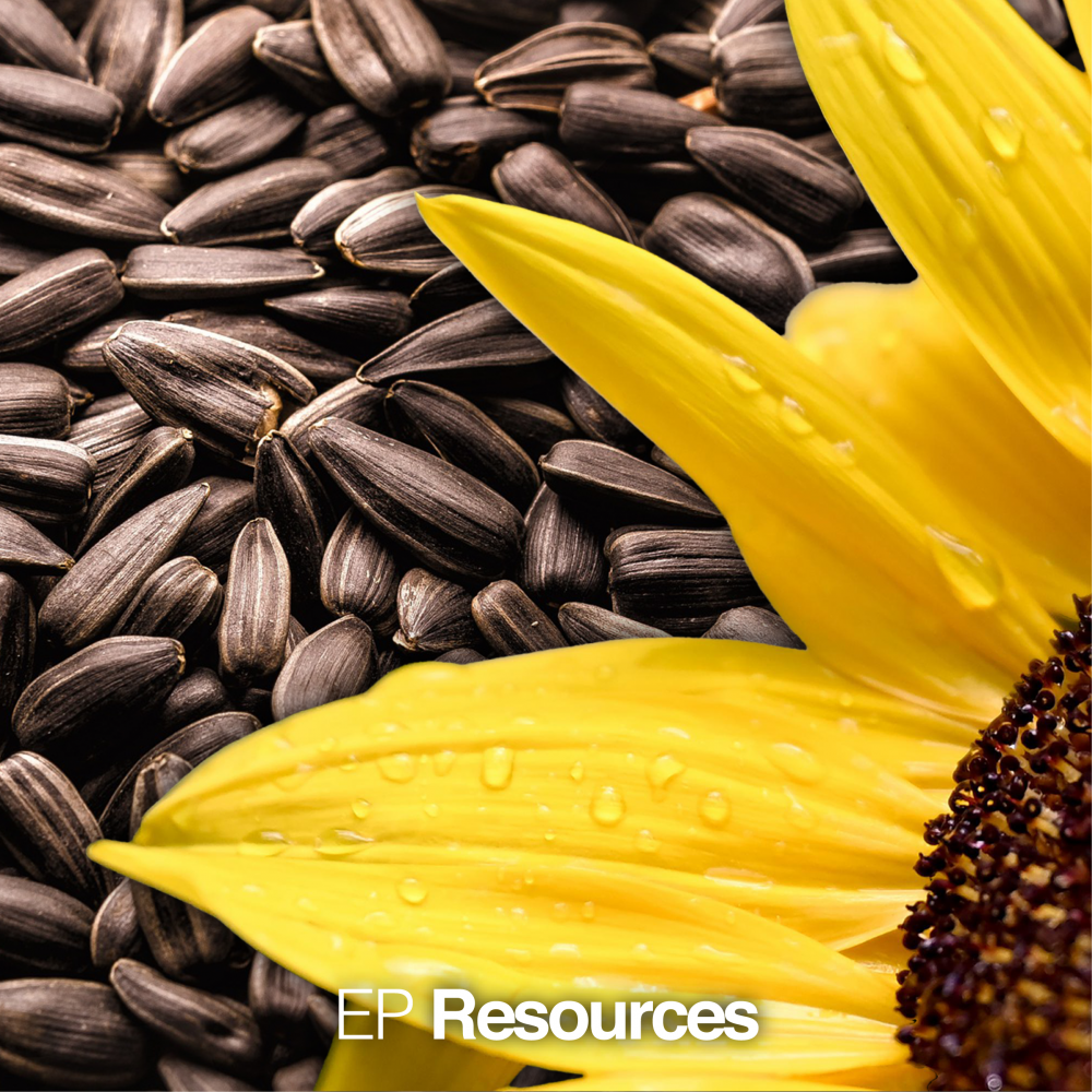 Sunflower briquettes - new alternative fuel in our retail portfolio
